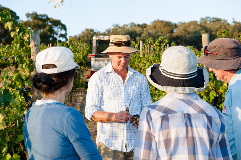 winemaker on tour in vineyard
